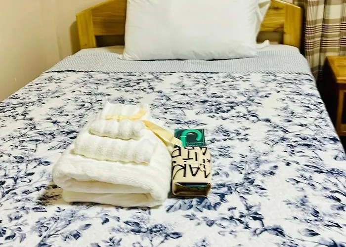 ホテル Maxbelle Mountain Daanbantayan